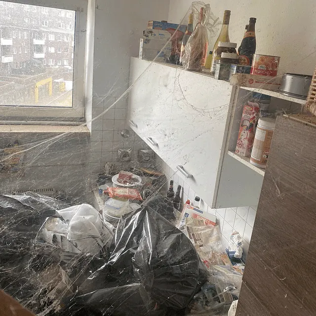 Wohnungsauflösungen